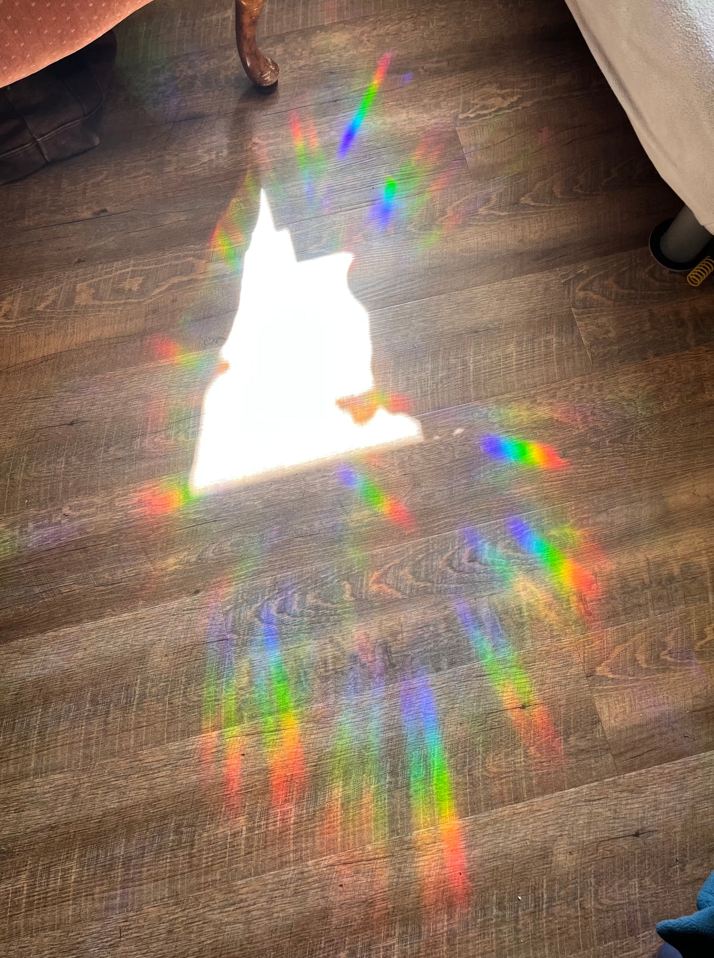 “Star Material” suncatcher window decal