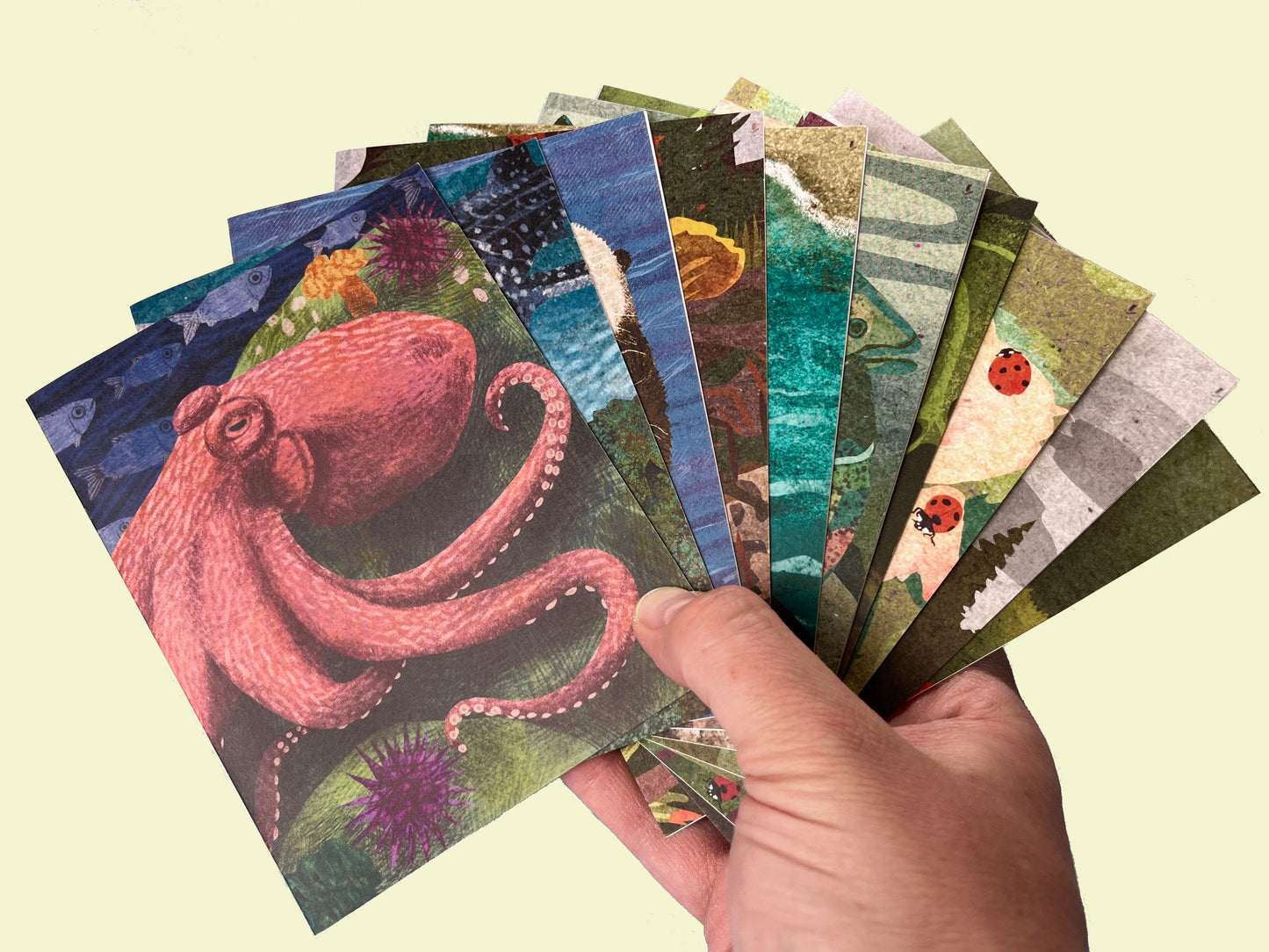 *Seconds* 10 Notecard Packs