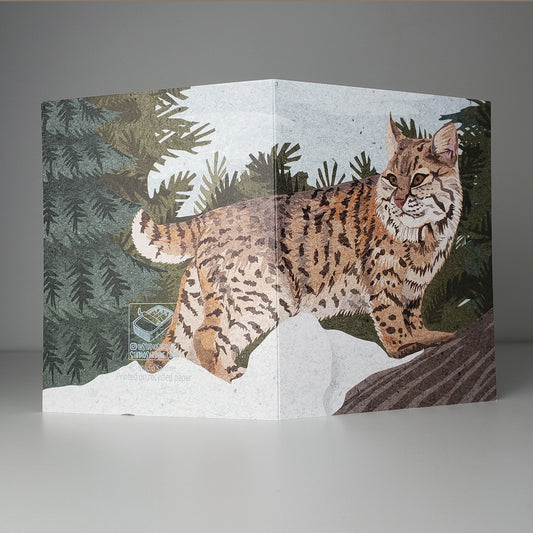 Bobcat A2 size (5.5" x 4.25") notecards