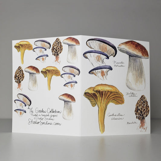 Watercolor Mushrooms A2 size (5.5" x 4.25") notecards