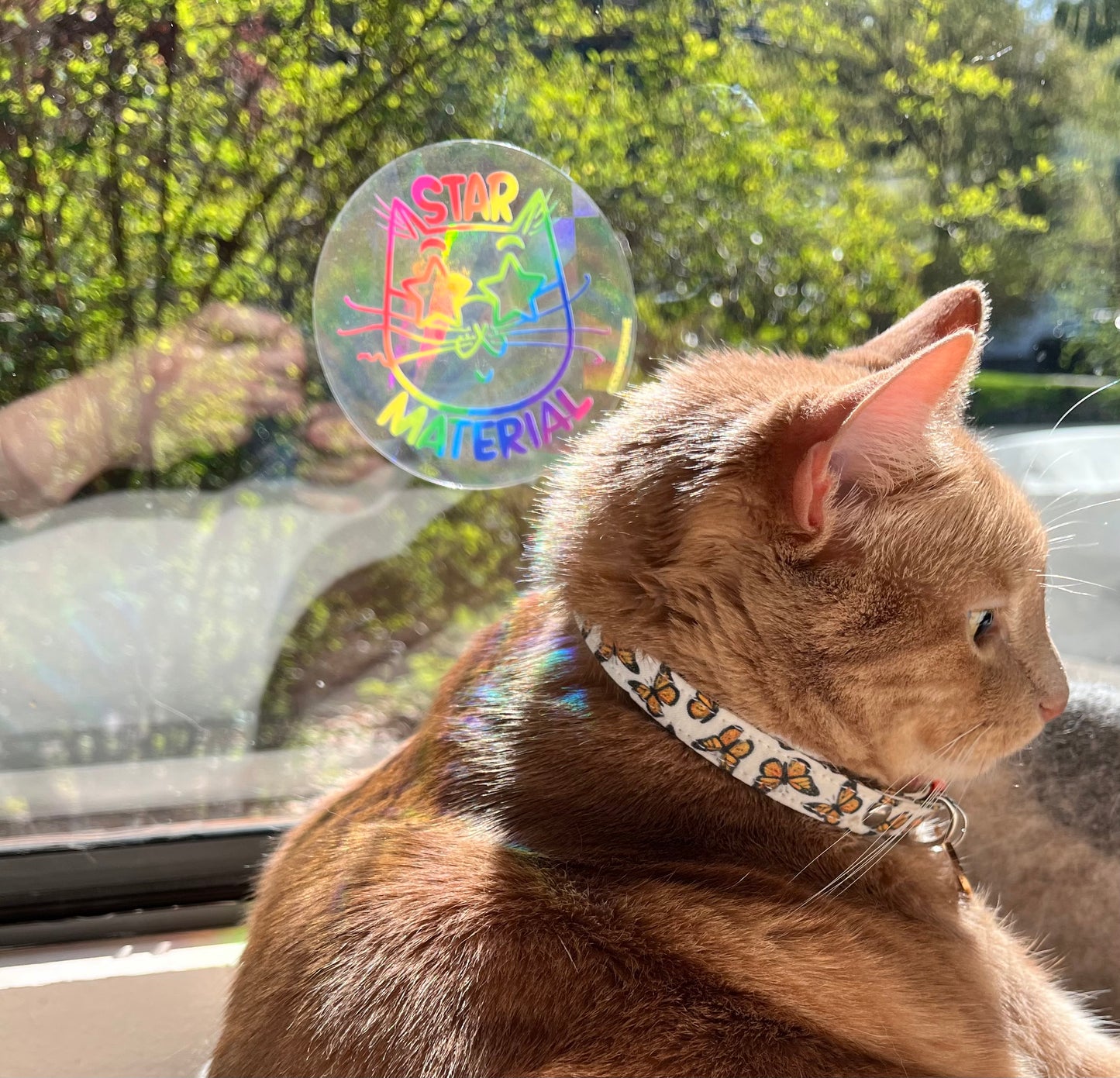“Star Material” suncatcher window decal