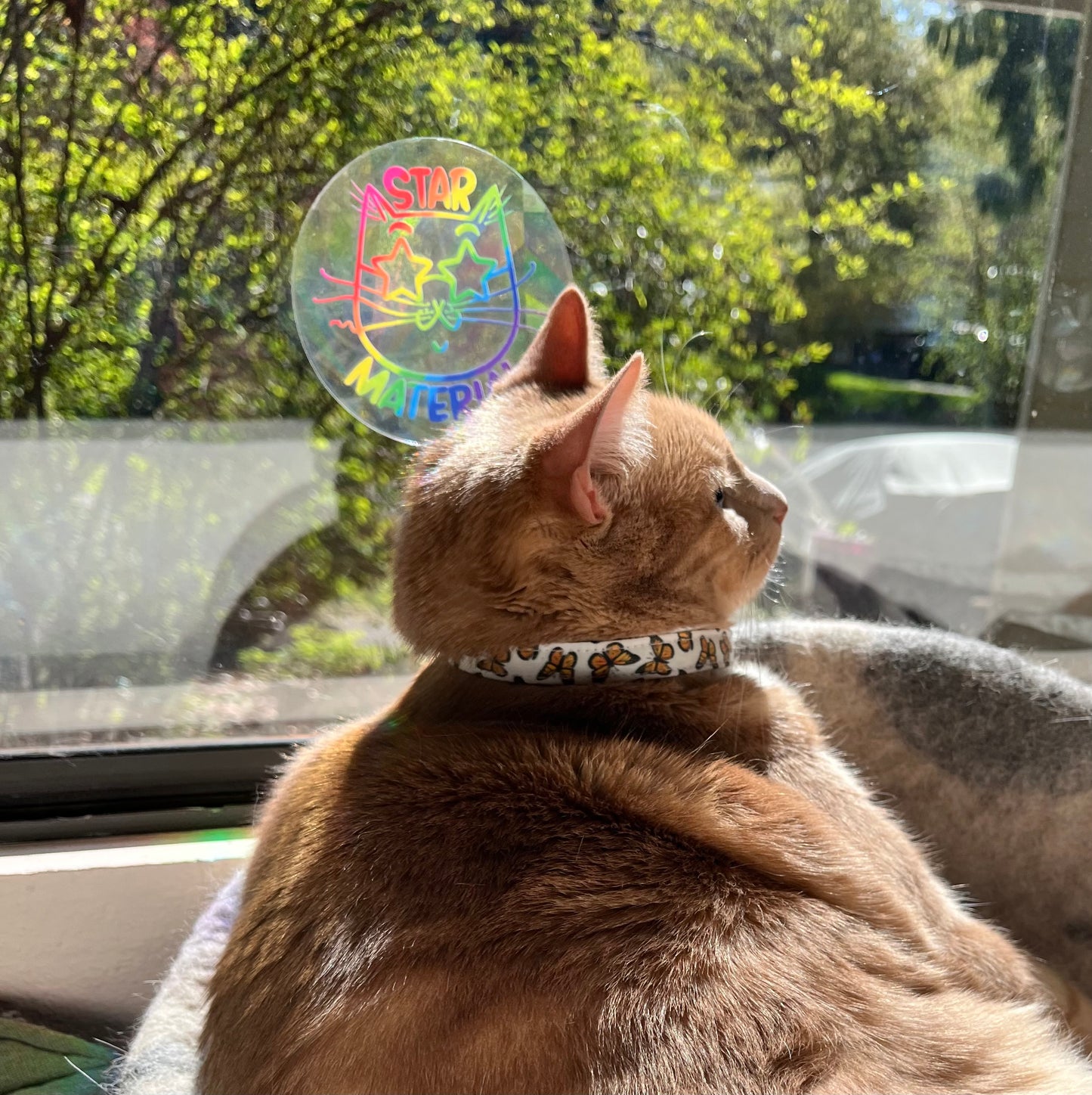 “Star Material” suncatcher window decal