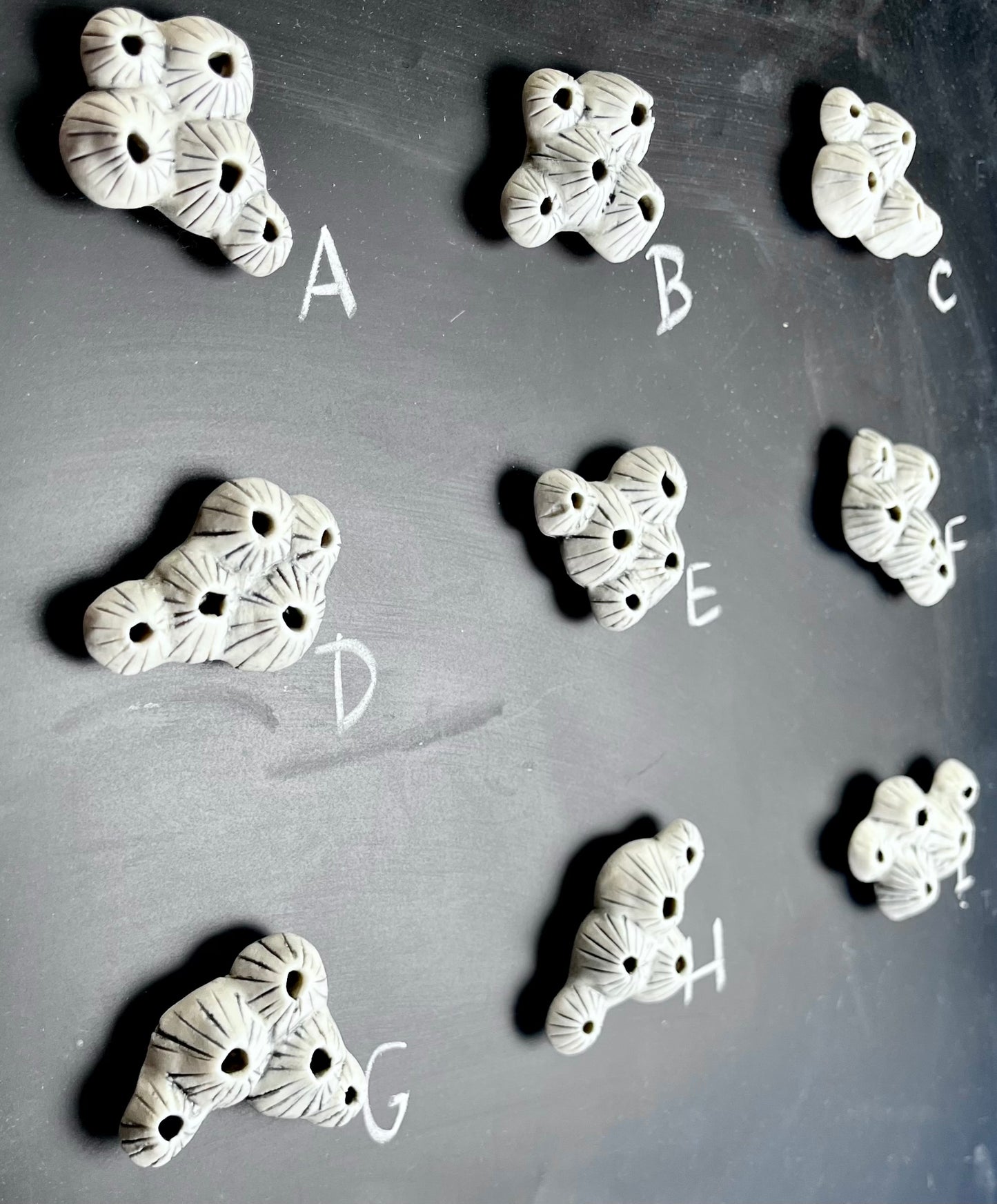 Barnacle porcelain magnets