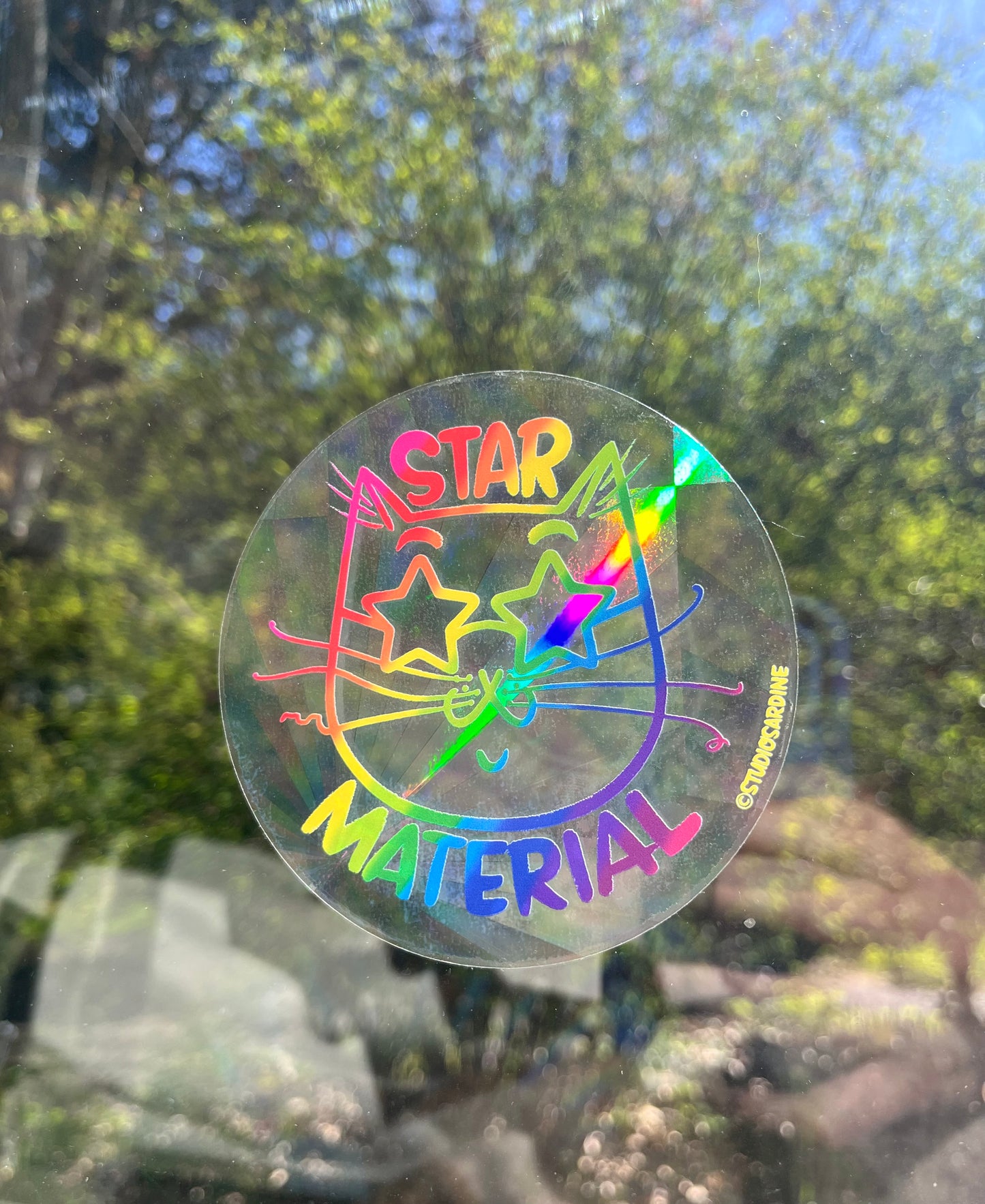 “Star Material” suncatcher window decal