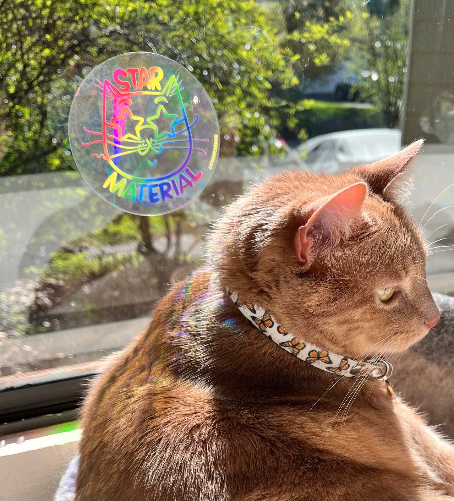 “Star Material” suncatcher window decal