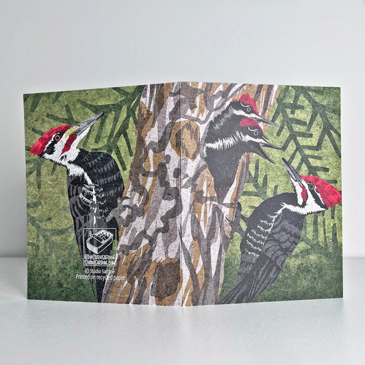 Pileated Woodpecker A2 size (5.5" x 4.25") notecards
