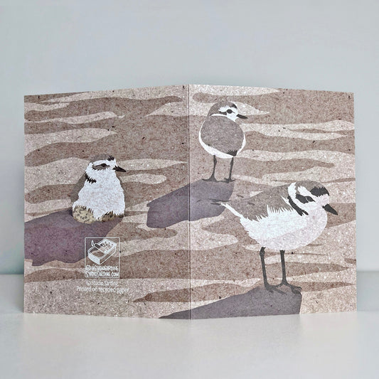 Snowy Plover A2 size (5.5" x 4.25") notecards