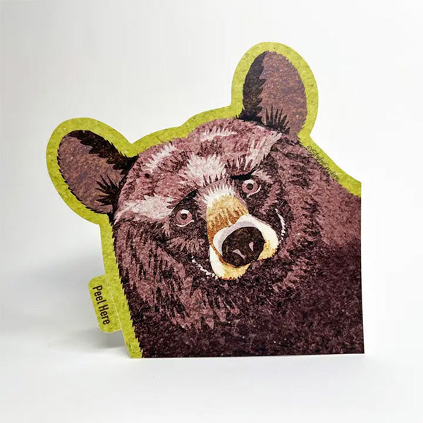 Friendly black bear vinyl die cut sticker