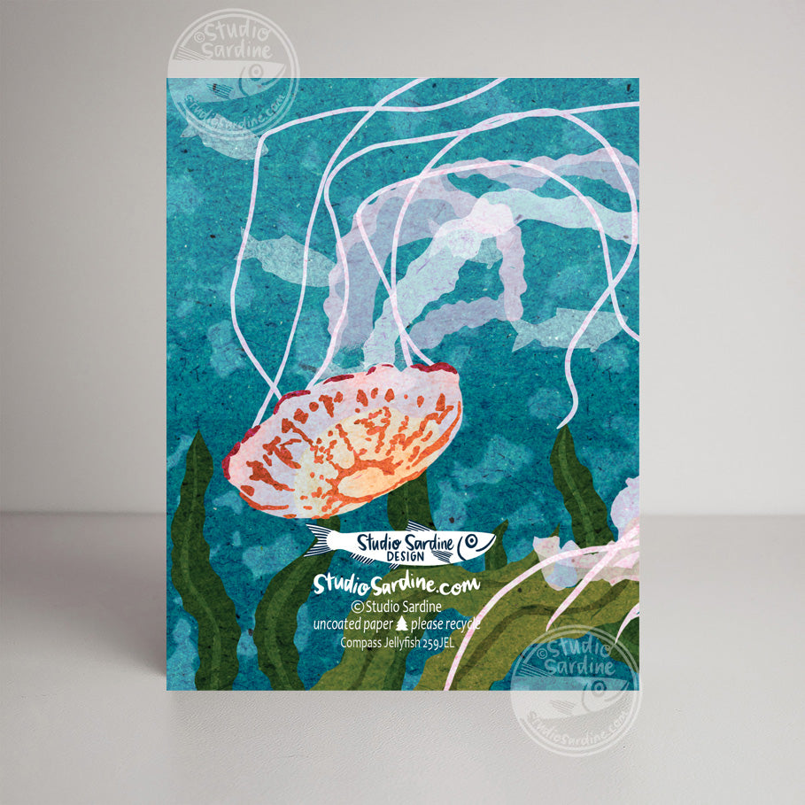 Compass Jellyfish A2 size (5.5" x 4.25") notecards