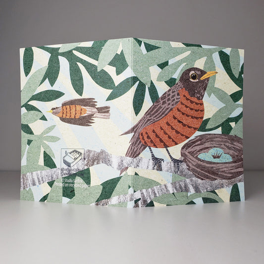 American Robin A2 size (5.5" x 4.25") notecards