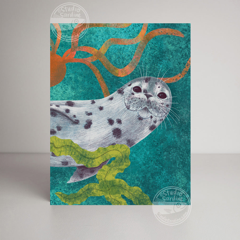 Curious Seal A2 size (5.5" x 4.25") notecards