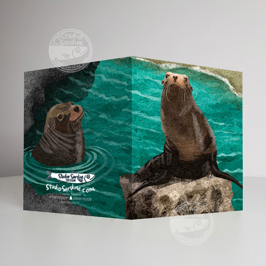 Sea Lions A2 size (5.5" x 4.25") notecards
