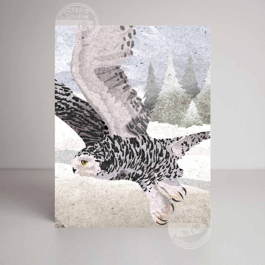 Snowy Owls A2 size (5.5" x 4.25") notecards, holiday card