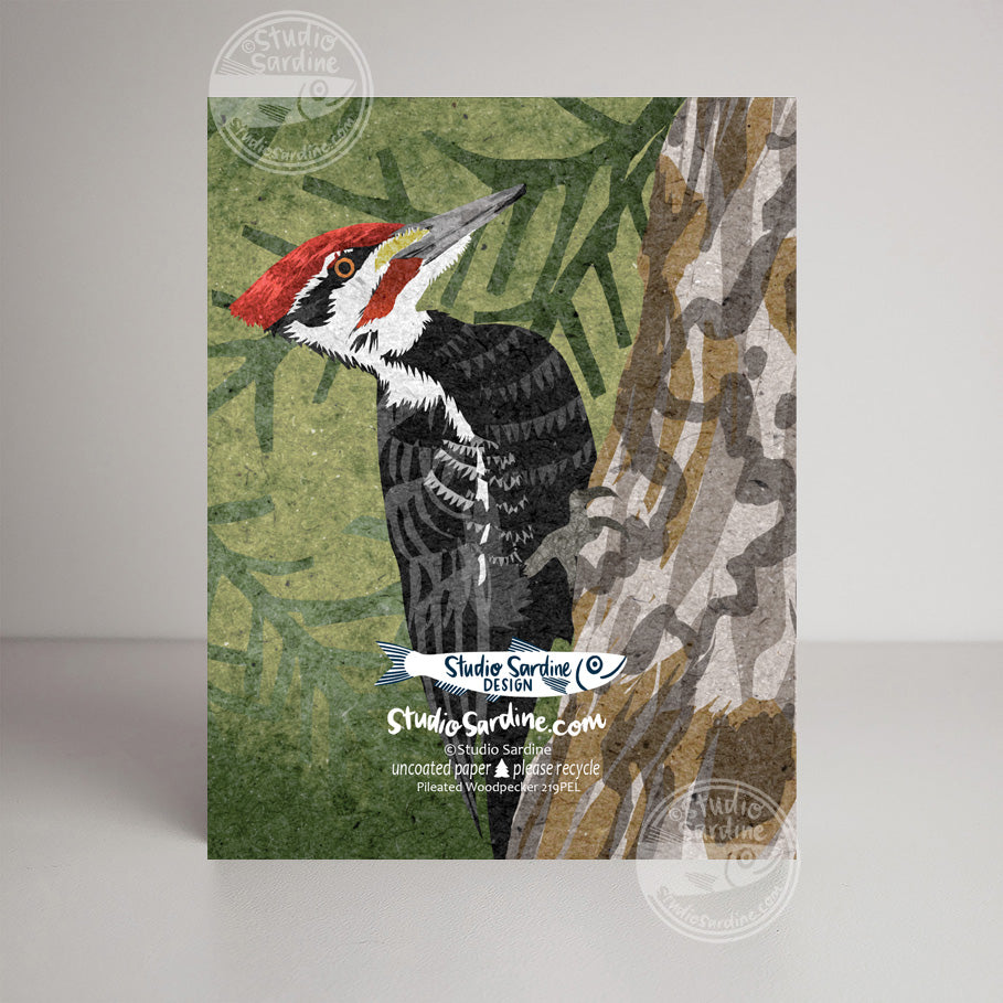 Pileated Woodpecker A2 size (5.5" x 4.25") notecards