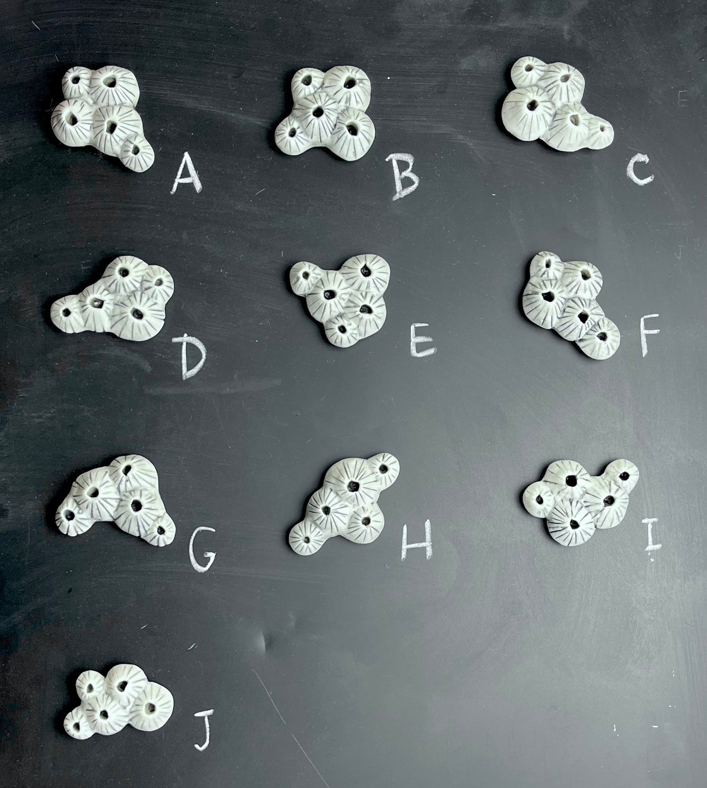 Barnacle porcelain magnets
