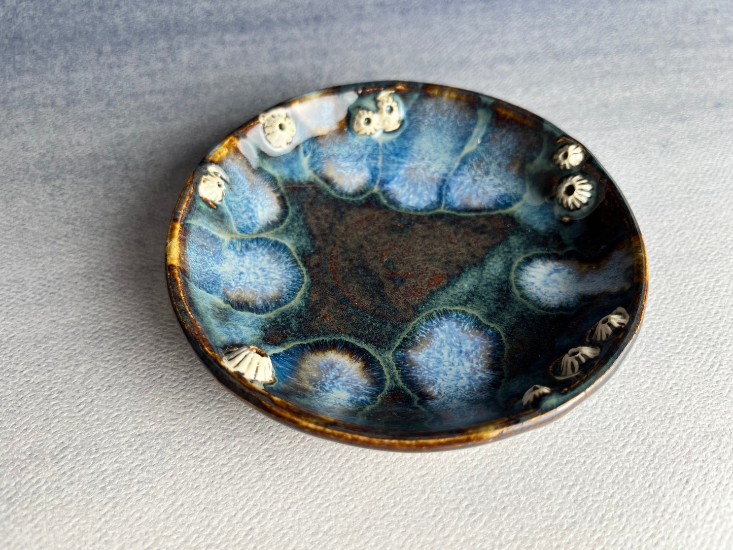 Small barnacle dish E