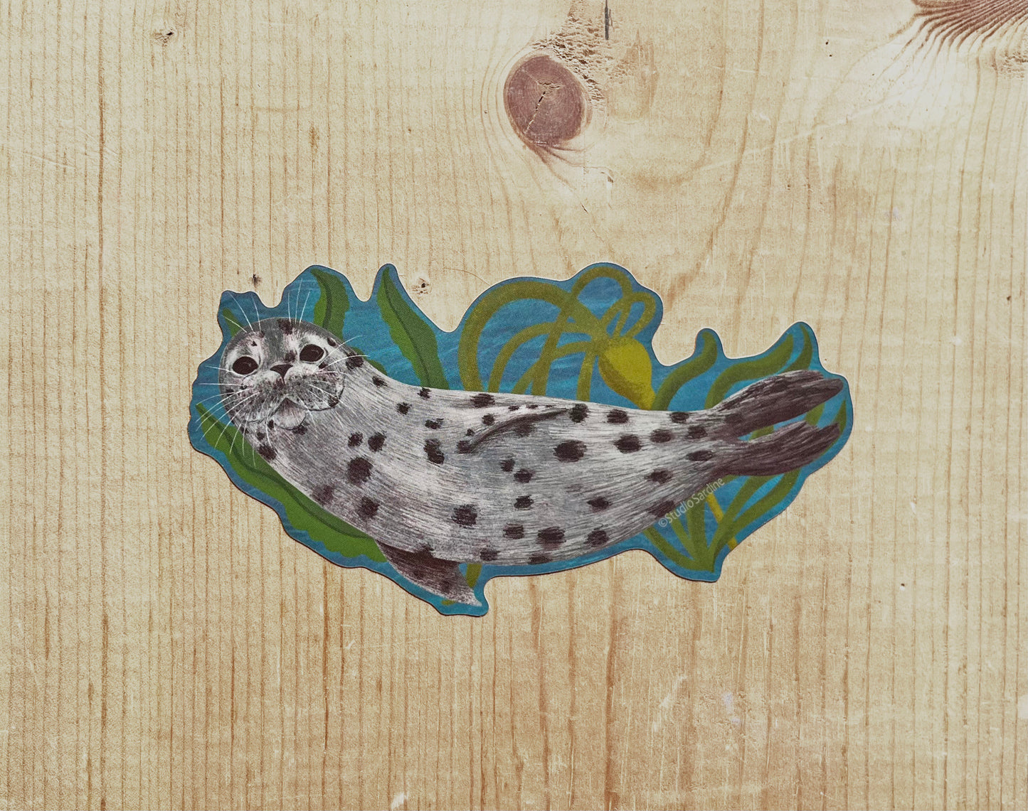 Harbor Seal vinyl sticker