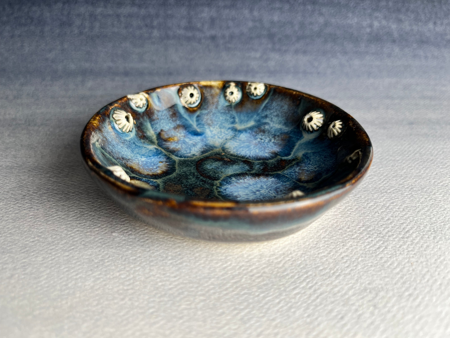 Small barnacle dish D