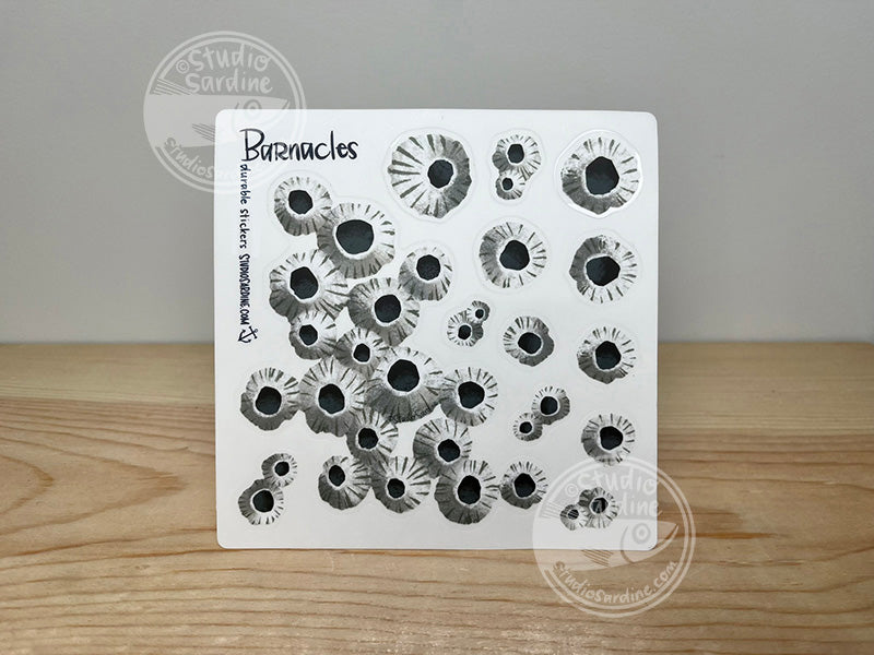 Studio Sardine Barnacles sticker sheet