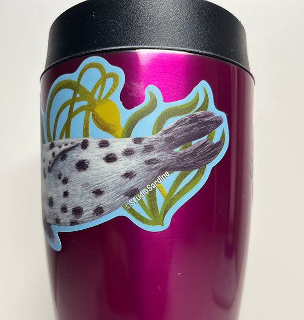 Harbor Seal sticker
