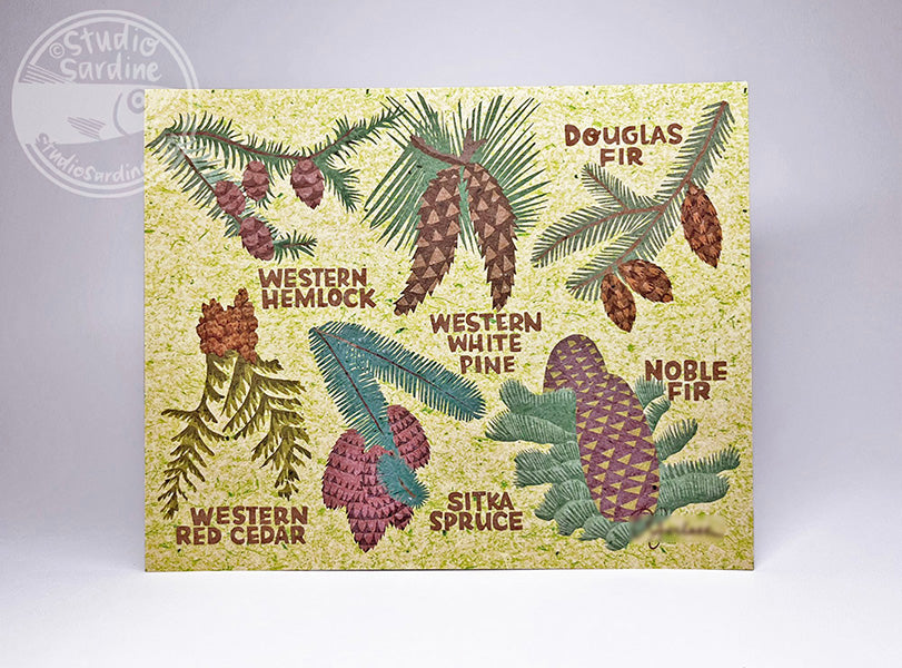 Cones and Needles Evergreen Tree Identifier 8" x 10" art print, woodland wall art