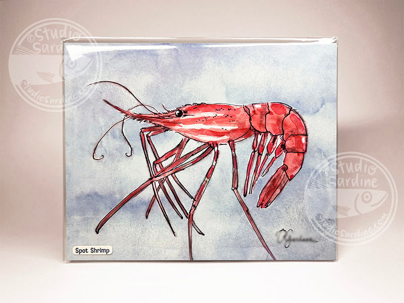 Spot Shrimp 8" x 10" art print, coastal wall art