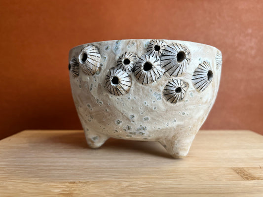 Three-legged Stoneware Barnacle Planter, Seafoam C