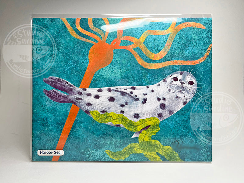 Harbor Seal 8" x 10" art print, coastal wall decor