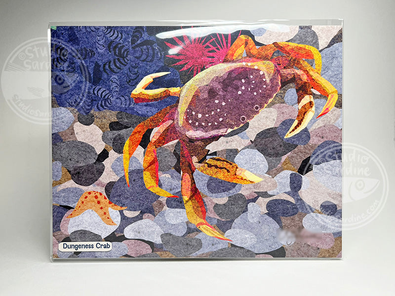 Dungeness Crab 8" x 10" art print, coastal wall decor