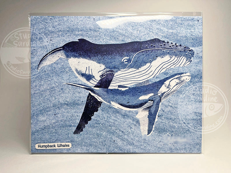 Humpback Whales 8" x 10" art print, coastal wall decor