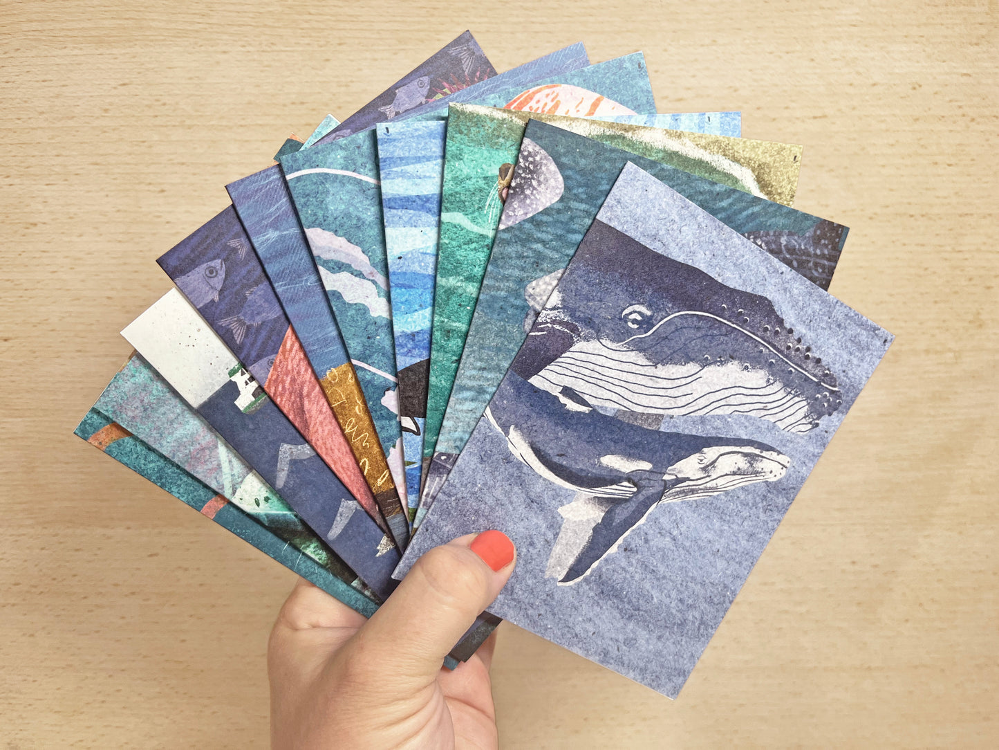 Marine Life Card Pack