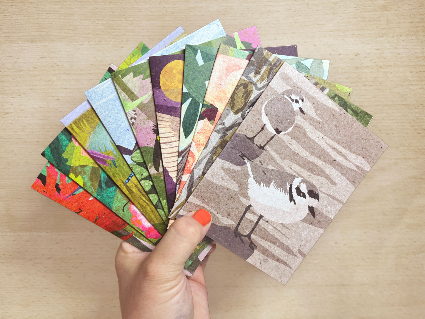 Birds and Bugs Card Pack