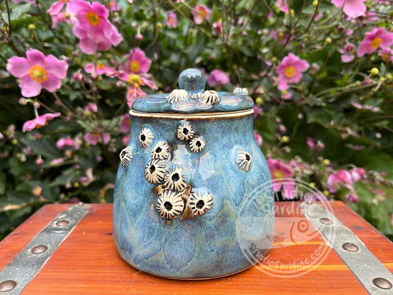 SECOND * Porcelain Barnacle Jar