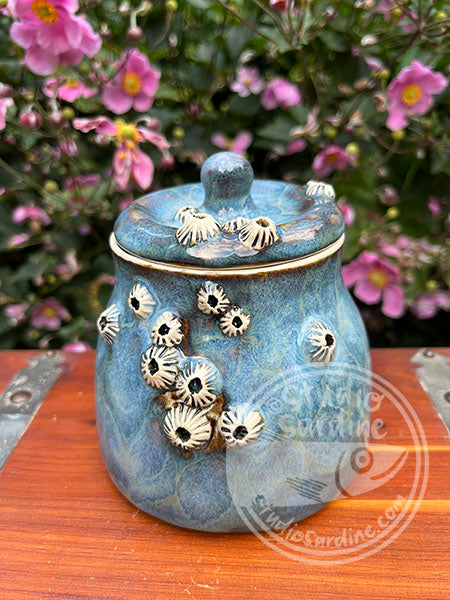 SECOND * Porcelain Barnacle Jar