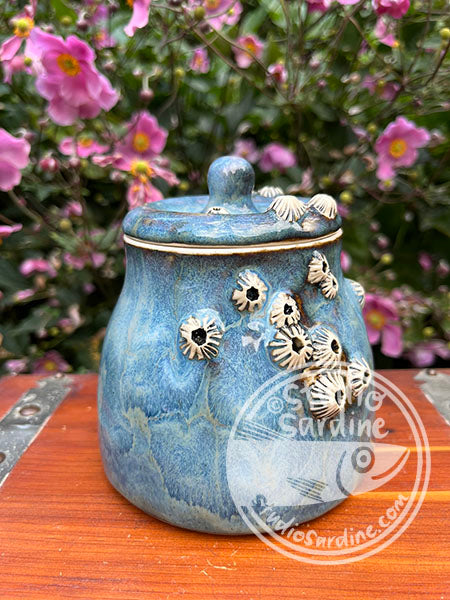 SECOND * Porcelain Barnacle Jar