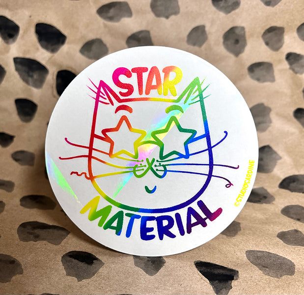 “Star Material” suncatcher window decal