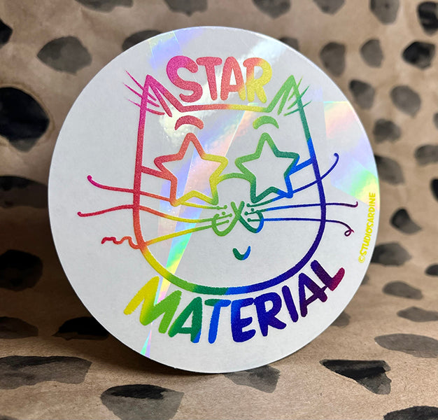 “Star Material” suncatcher window decal
