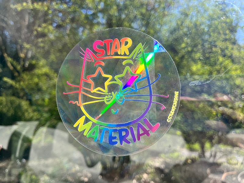 “Star Material” suncatcher window decal