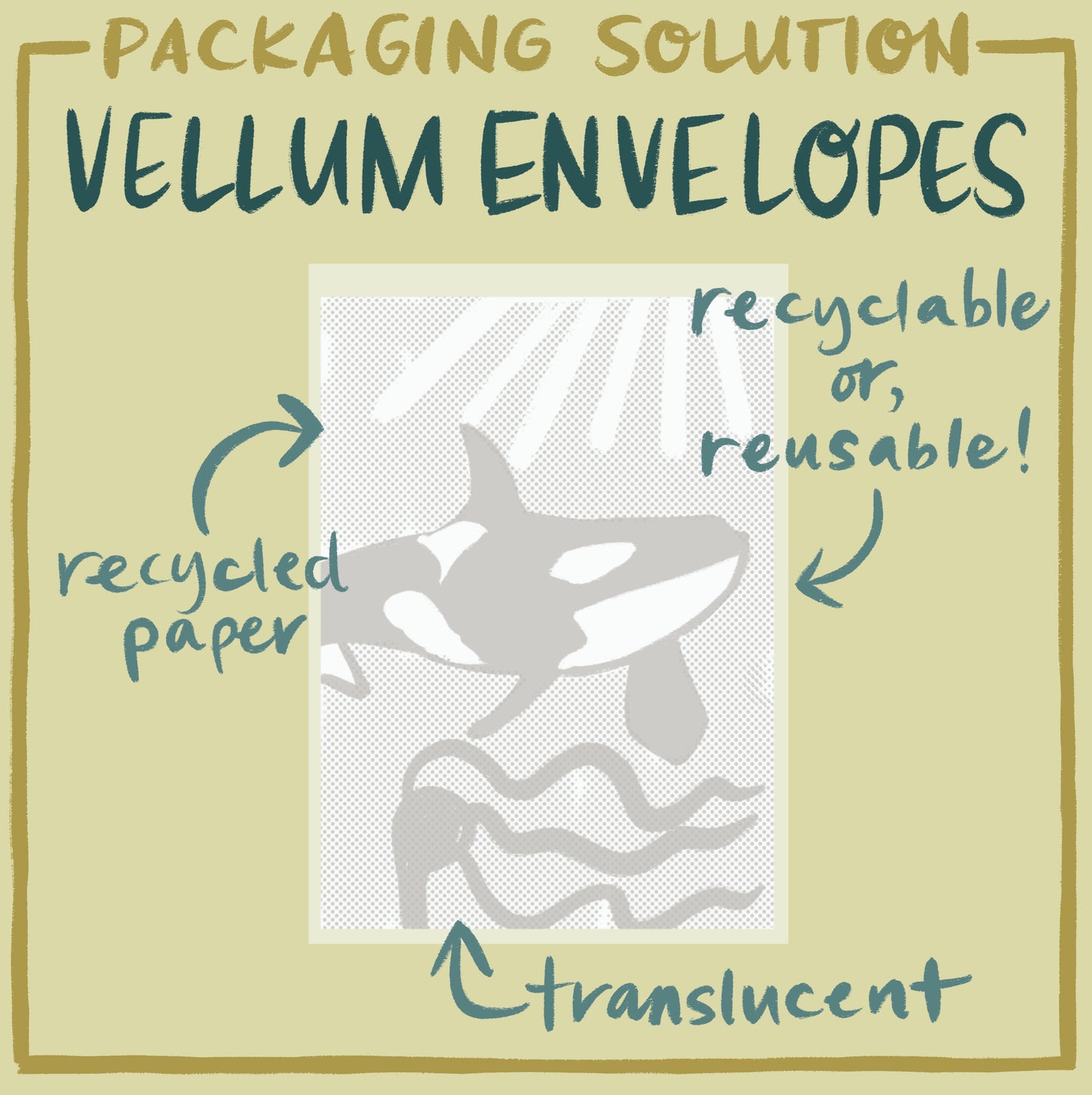 Each Card In A Translucent Vellum Protective Envelope Upgrade Wholesale