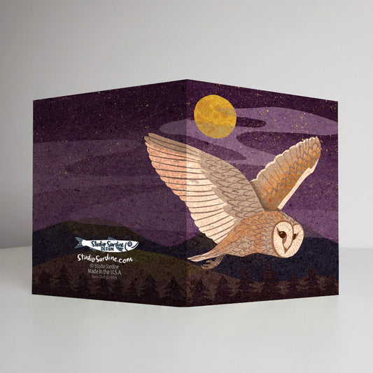 Barn Owl A2 size (5.5" x 4.25") notecards