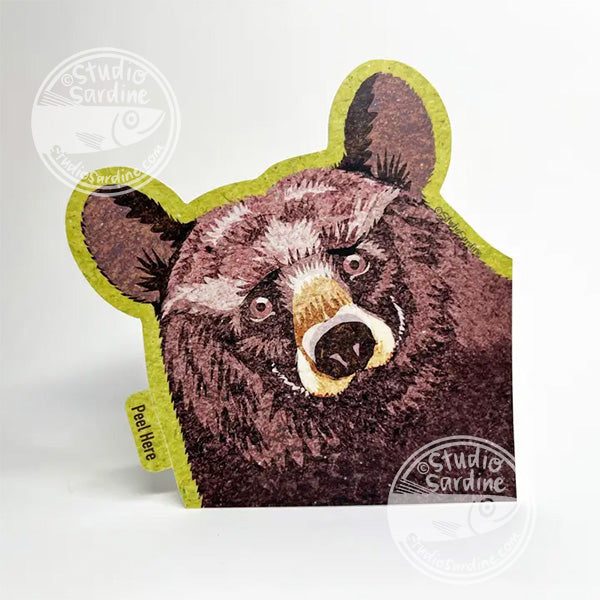 Studio Sardine Friendly bear vinyl die cut sticker