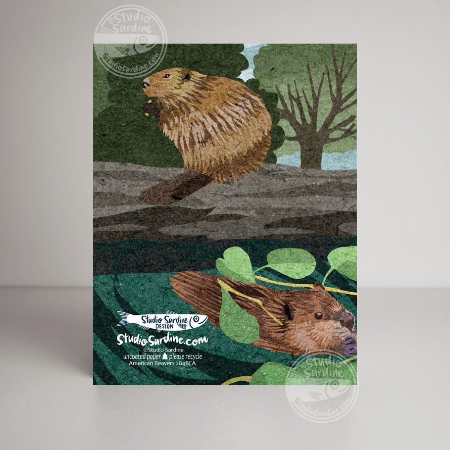 American Beavers A2 size (5.5" x 4.25") notecards