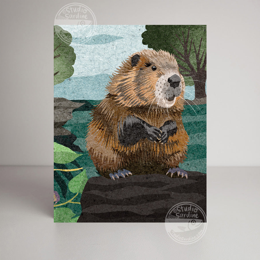American Beavers A2 size (5.5" x 4.25") notecards