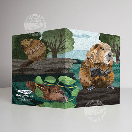 American Beavers A2 size (5.5" x 4.25") notecards