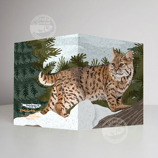 Bobcat A2 size (5.5" x 4.25") notecards