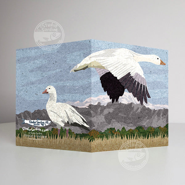 Snow Geese A2 size (5.5" x 4.25") notecards
