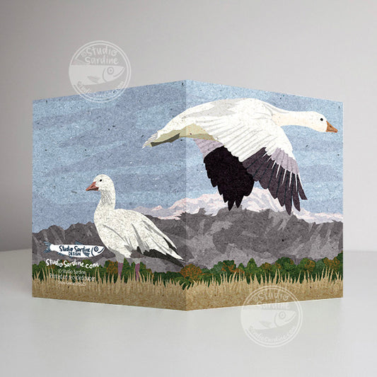 Snow Geese A2 size (5.5" x 4.25") notecards