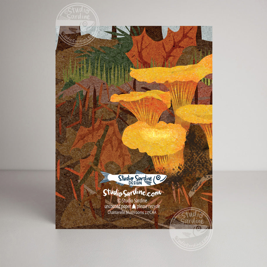 Chanterelle Mushroom A2 size (5.5" x 4.25") notecards