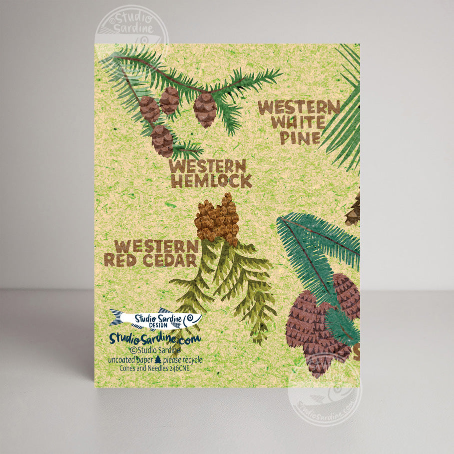 Cones and Needles A2 size (5.5" x 4.25") notecards