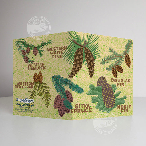 Cones and Needles A2 size (5.5" x 4.25") notecards